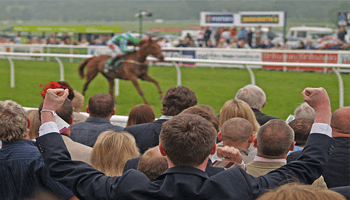 Raceday Transfer