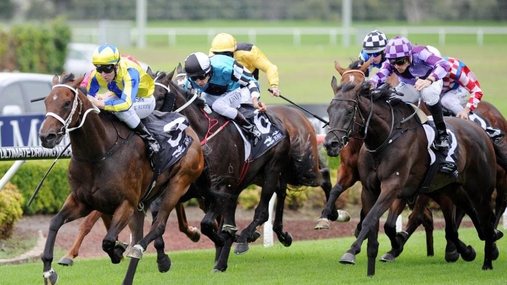 race-day-transfers-sydney